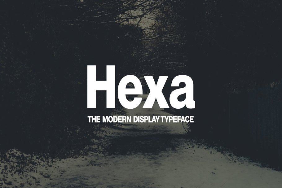 Font Hexa